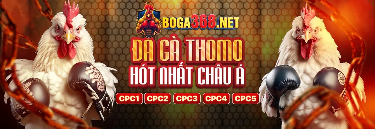 Cam kết An toàn và Bảo mật của 99wim Nhà Cái